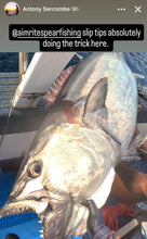 Load image into Gallery viewer, dogtooth tuna caught with slip tip