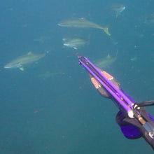 Load image into Gallery viewer, Wetmammal speargun over blue water with fish swimming.