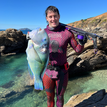 Load image into Gallery viewer, NEW 2025 Wet Mammal x Aimrite Roller Speargun range