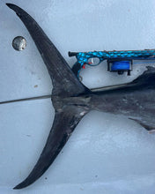 Load image into Gallery viewer, Vendetta roller speargun with marlin tail