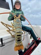 Load image into Gallery viewer, young diver holding large crayfish wearing aimrite blue/green wetsuit with aimrite spearguns at laying underneather