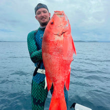 Load image into Gallery viewer, Aimrite stinger suit for spearfishing (Blue/green) with nannygai fish