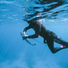 Load image into Gallery viewer, An underwater shot of a diver in a black wetsuit holding a small fish with a spear, set against the blue water of an ocean reef.