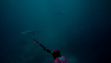 Load image into Gallery viewer, Vendetta roller speargun shot, underwater