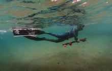 Load image into Gallery viewer, Person snorkeling underwater wearing a wetsuit and reef addicts fins
