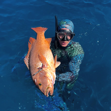 Load image into Gallery viewer, diver hold large mangrove jack in clean blue water