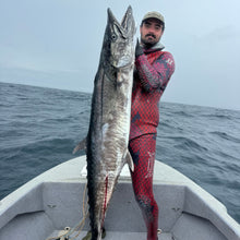 Load image into Gallery viewer, red/purple 3mm wetsuit for spearfishing, with spanish mackerel