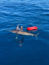 Load image into Gallery viewer, Bluewater atmosphere float for spearfishing, with marlin