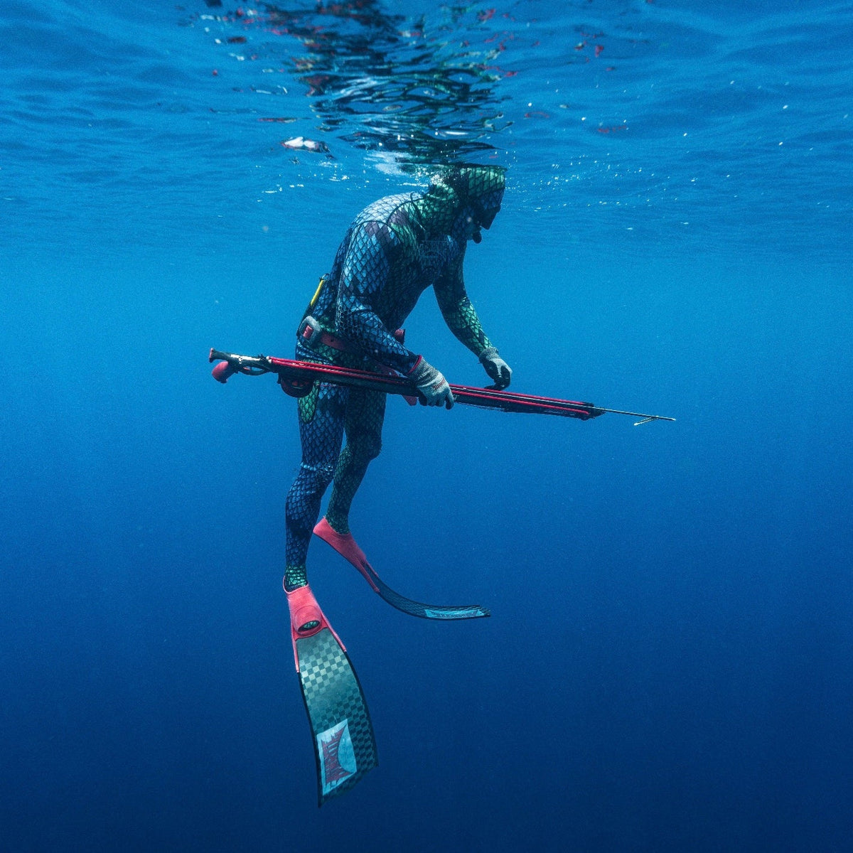 Spearfishing for Beginners: Gear, Safety & Tips