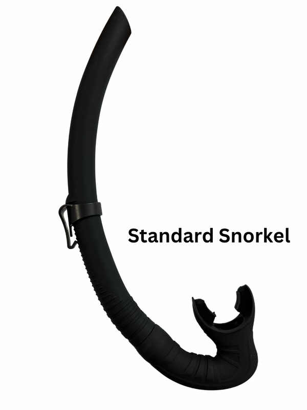 adult snorkel for spearfishing