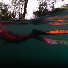 Load image into Gallery viewer, Person freediving underwater with fins, surrounded by trees on the surface.
