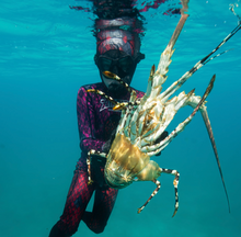 Load image into Gallery viewer, diver in Aimrite red/purple stinger suit in water holding crayfish
