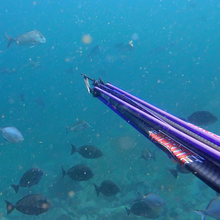 Load image into Gallery viewer, wetmammal speargun  with fish swimming in the background

