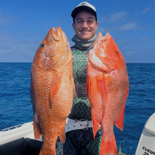 Load image into Gallery viewer, Man holding two large fish on a boat with ocean in the background
