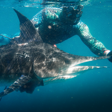 Load image into Gallery viewer, Aimrite Premium 5.0mm Spearfishing Wetsuit
